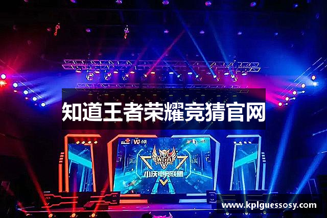 知道王者荣耀竞猜官网